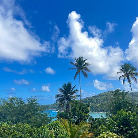 Happy Nest Dominica Hotel Marigot ภายนอก รูปภาพ