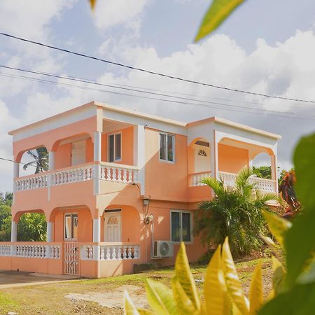 Happy Nest Dominica Hotel Marigot ภายนอก รูปภาพ