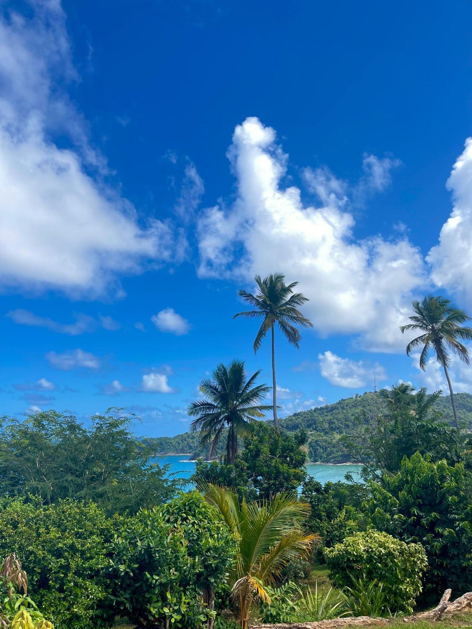 Happy Nest Dominica Hotel Marigot ภายนอก รูปภาพ