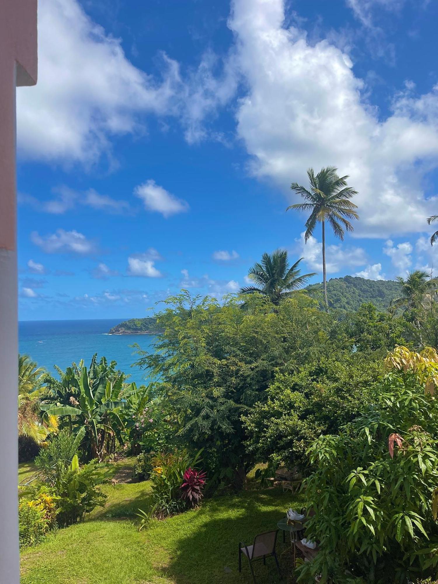Happy Nest Dominica Hotel Marigot ภายนอก รูปภาพ
