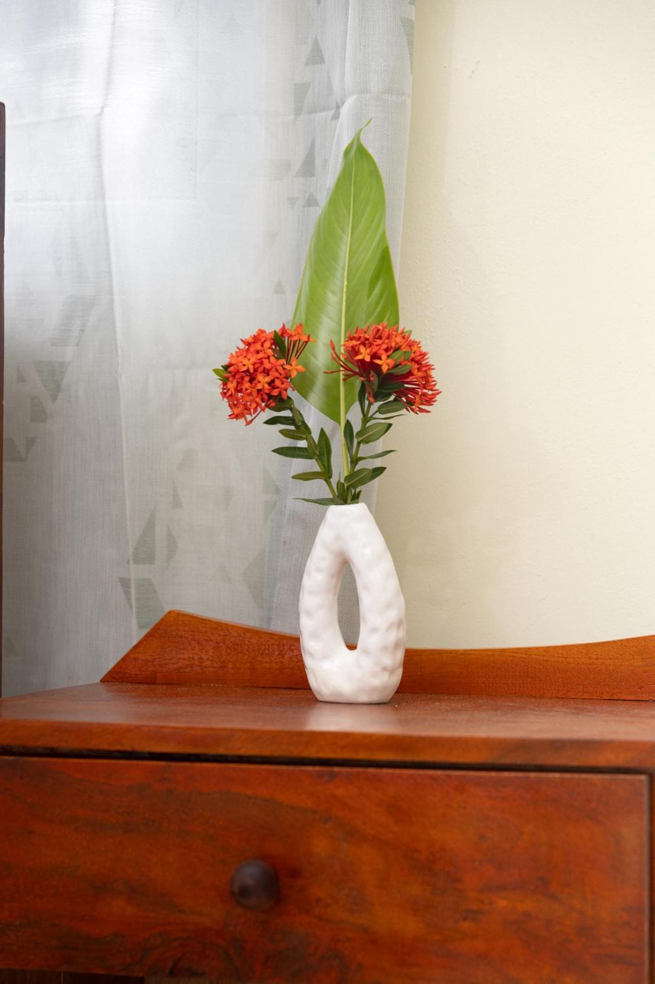Happy Nest Dominica Hotel Marigot ภายนอก รูปภาพ